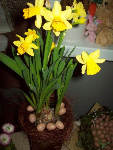 Kompozycja wiosenna- moje dzieło, zdjęcie 4