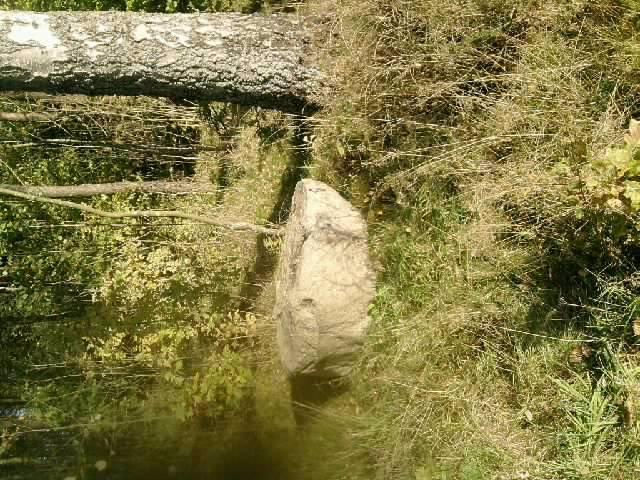 JESIENNE OBRAZKI, zdjęcie 7