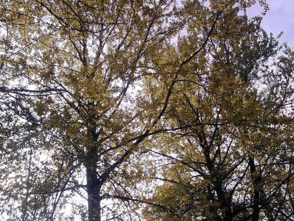 JESIENNE OBRAZKI, zdjęcie 4