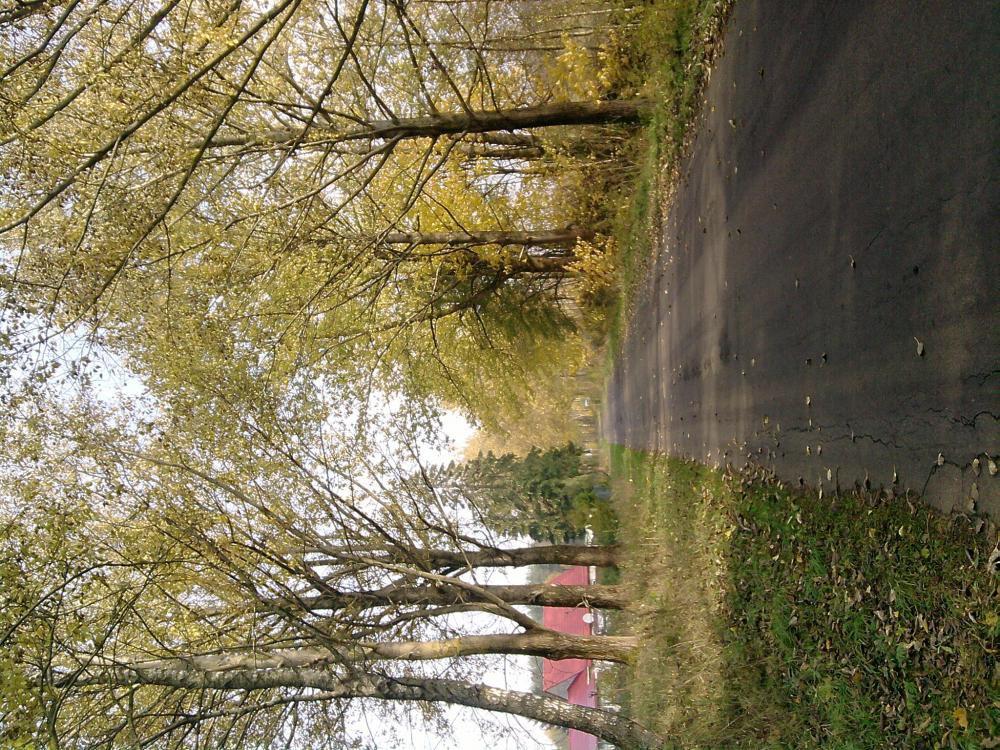 JESIENNE OBRAZKI, zdjęcie 2