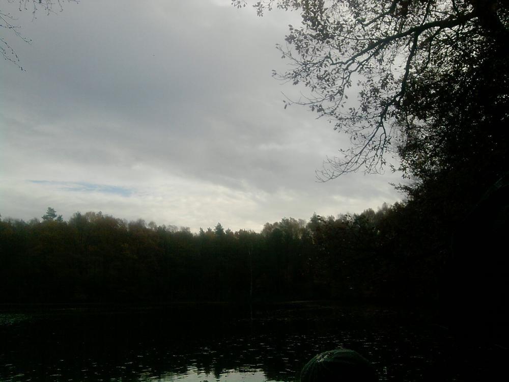 JESIENNE OBRAZKI, zdjęcie 1