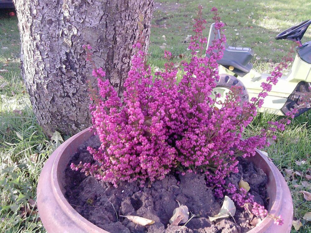 JESIENNE OBRAZKI, zdjęcie 5