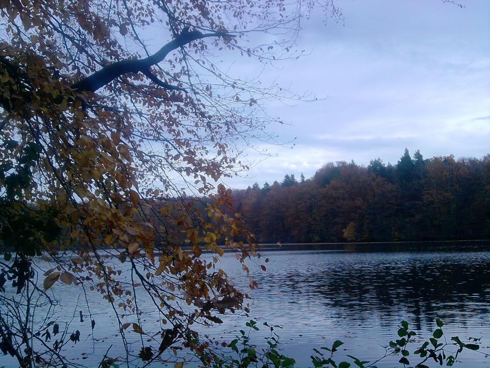 JESIENNE OBRAZKI, zdjęcie 6