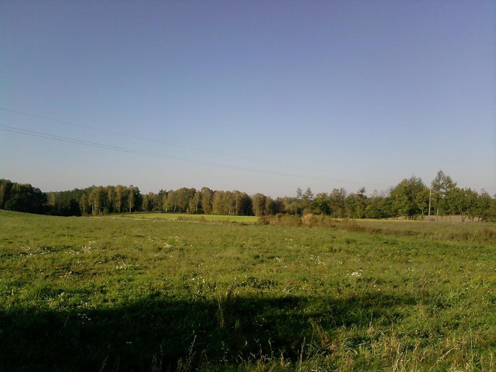 JESIENNE OBRAZKI, zdjęcie 3