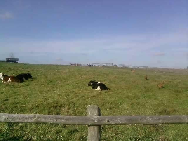 MOI SĄSIEDZI , zdjęcie 2