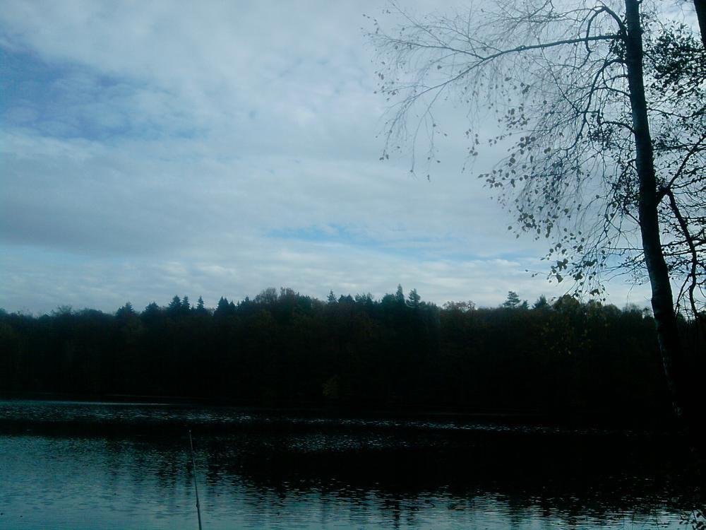 Ostatnie zdjęcia tej jesieni. ktora jest wyjatkowo piękna , zdjęcie 1