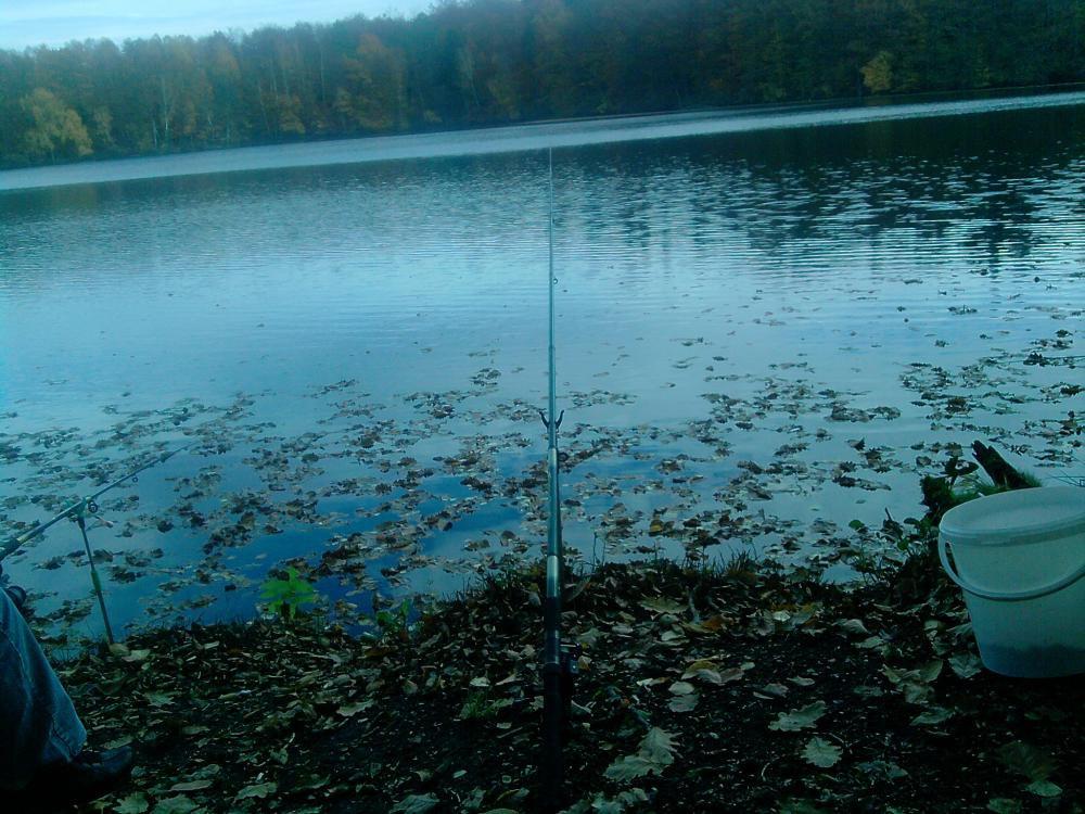 Ostatnie zdjęcia tej jesieni. ktora jest wyjatkowo piękna , zdjęcie 3