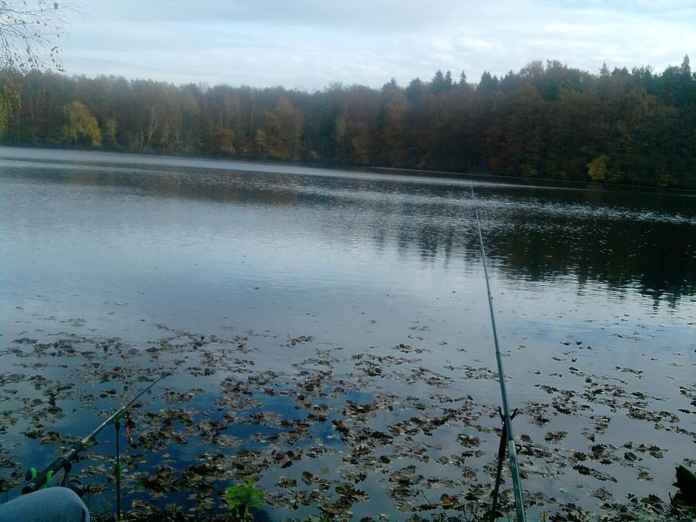 Ostatnie zdjęcia tej jesieni. ktora jest wyjatkowo piękna , zdjęcie 2