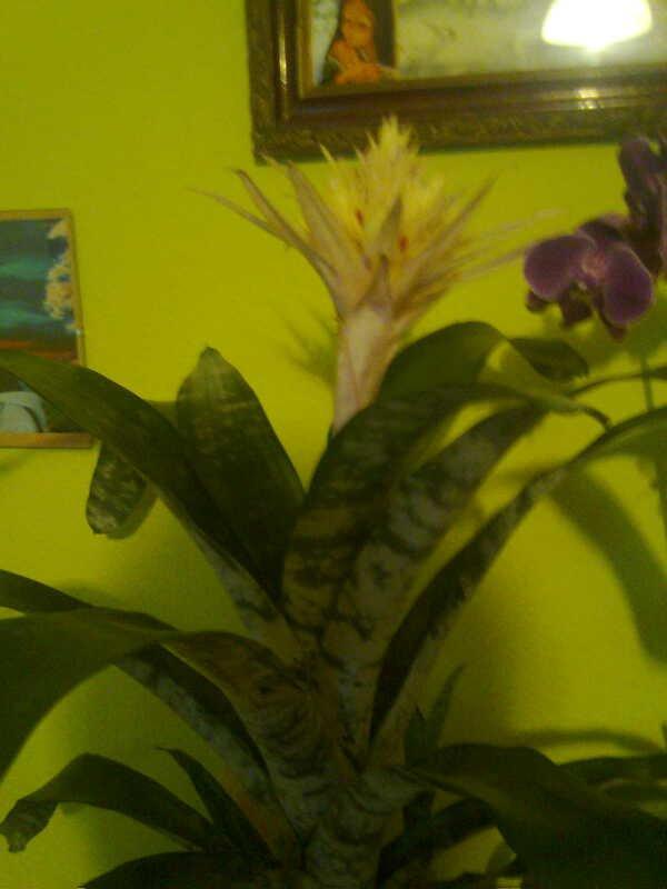 kilka fotek , zdjęcie 1