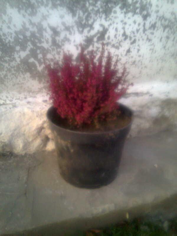 kilka fotek , zdjęcie 3