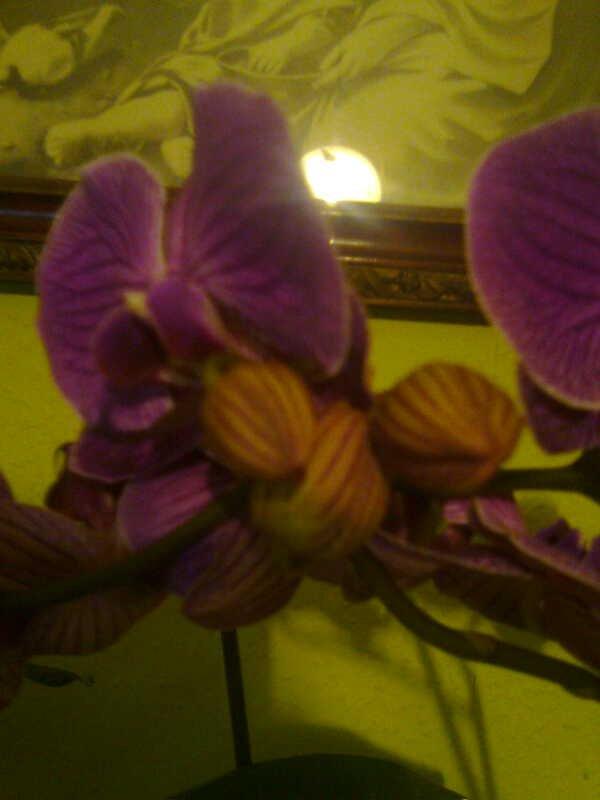 kilka fotek , zdjęcie 7