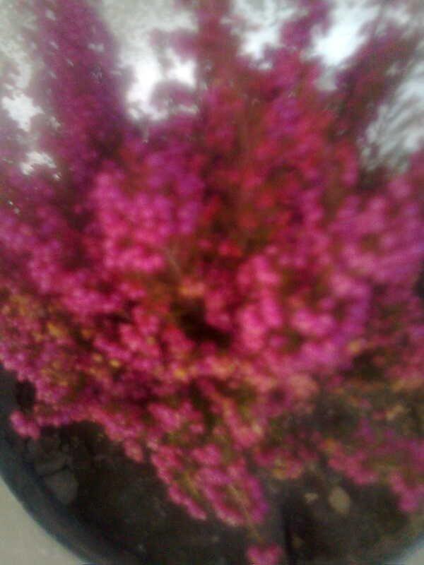 kilka fotek , zdjęcie 5