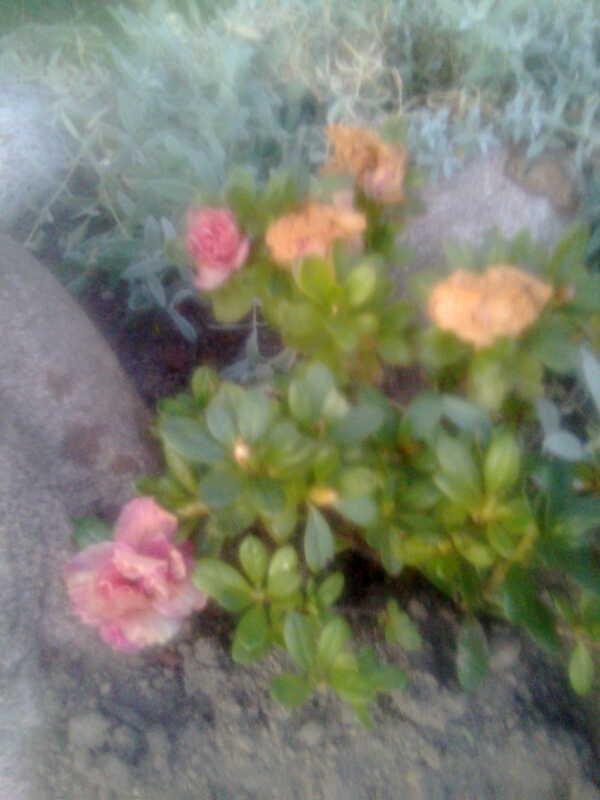 kilka fotek , zdjęcie 8