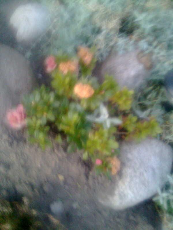 kilka fotek , zdjęcie 6