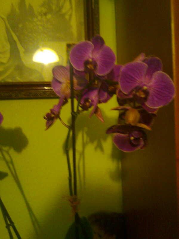 kilka fotek , zdjęcie 2