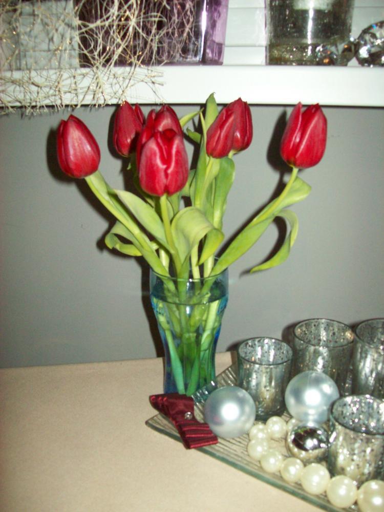 Powiew wiosny w środku zimy, zdjęcie 11