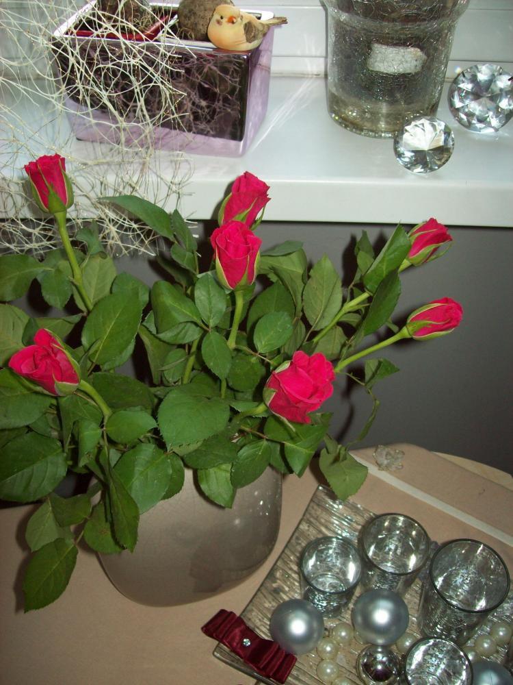 Powiew wiosny w środku zimy, zdjęcie 6