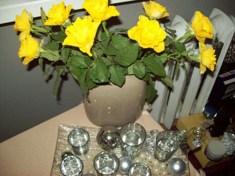 Powiew wiosny w środku zimy, zdjęcie 3