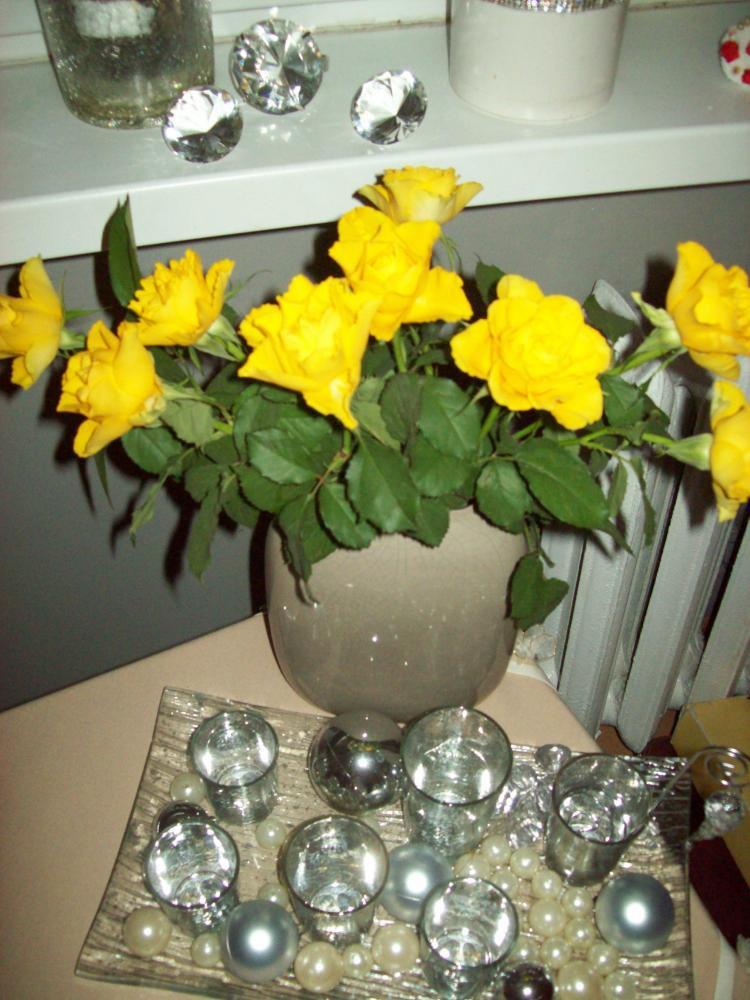 Powiew wiosny w środku zimy, zdjęcie 7