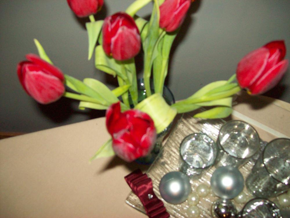 Powiew wiosny w środku zimy, zdjęcie 10