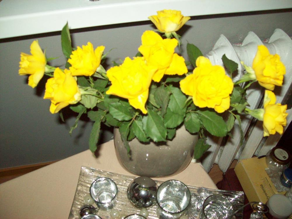 Powiew wiosny w środku zimy, zdjęcie 2