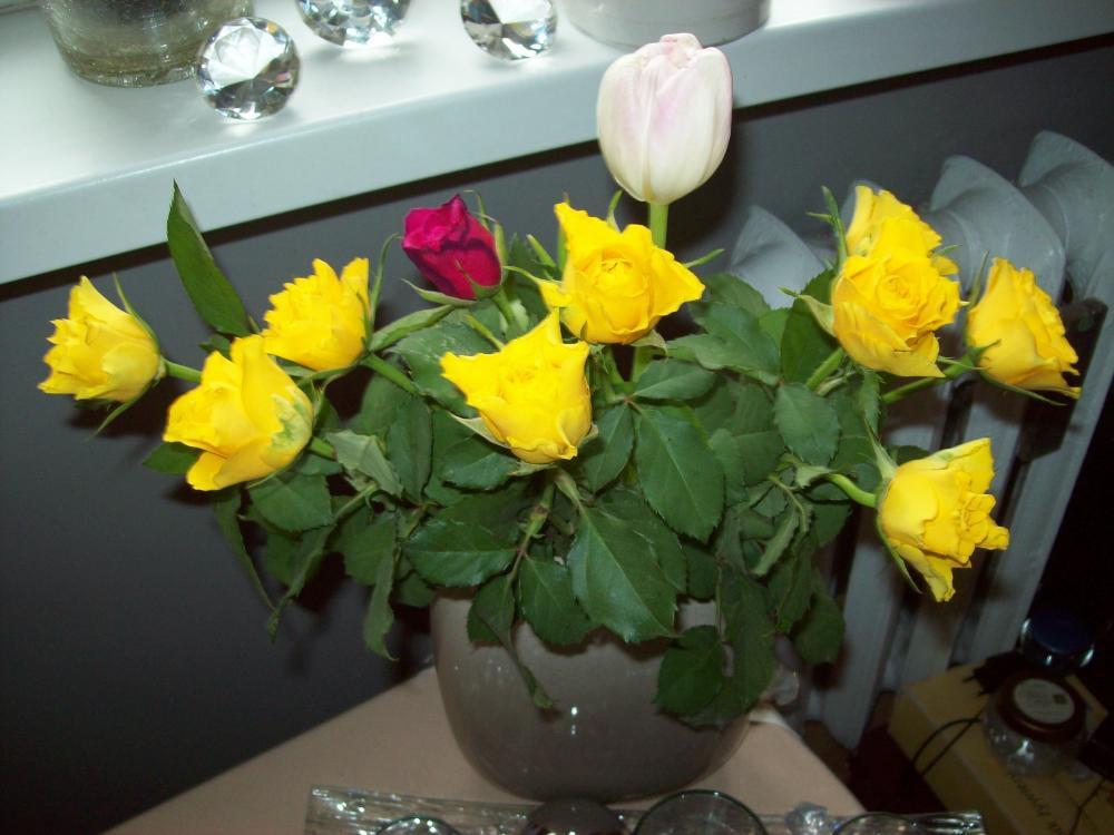 Powiew wiosny w środku zimy, zdjęcie 13