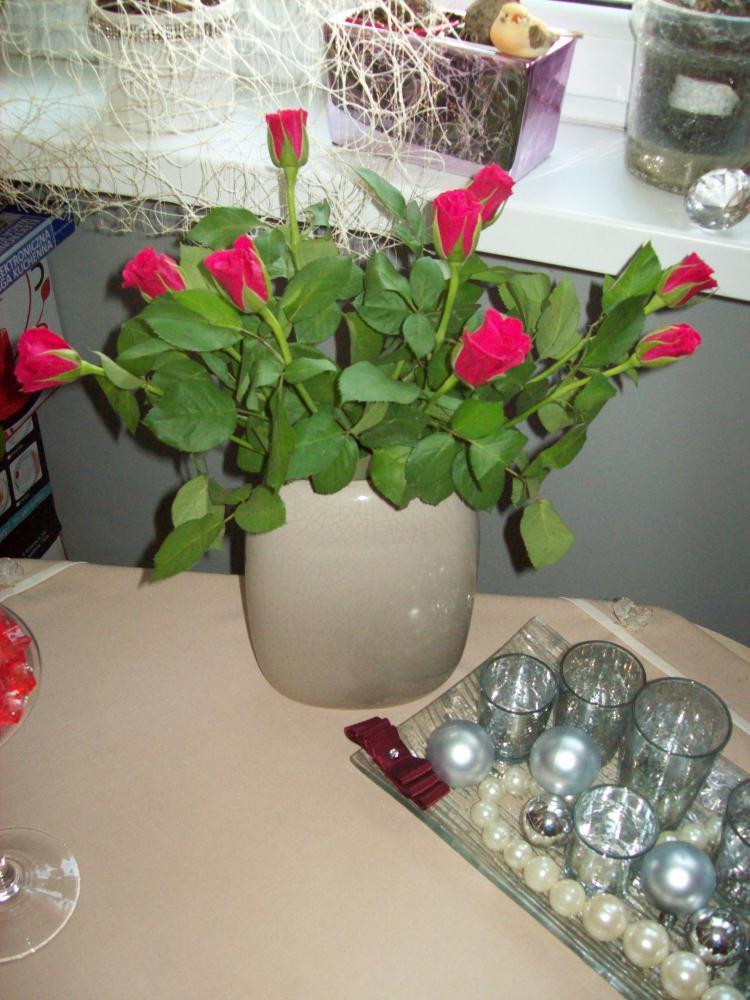 Powiew wiosny w środku zimy, zdjęcie 8