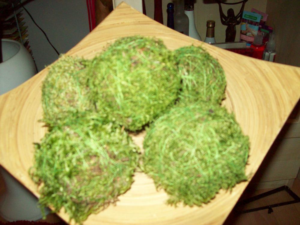 Kule z mchu, zdjęcie 5