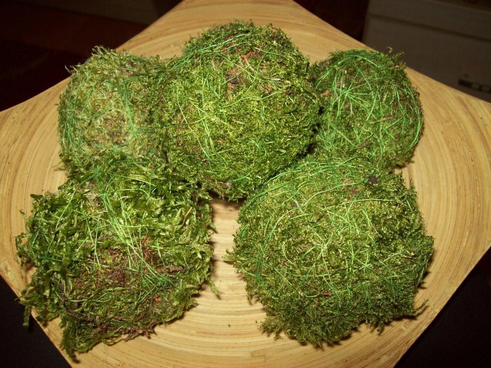 Kule z mchu, zdjęcie 7