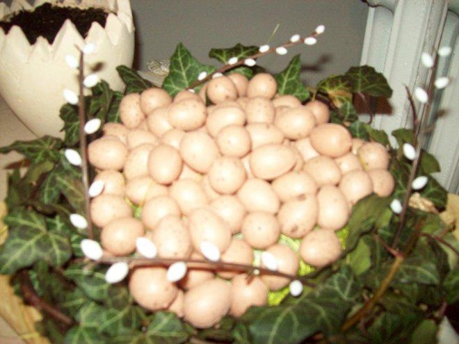 Gniazdo pełne jaj- moja kompozycja, zdjęcie 4