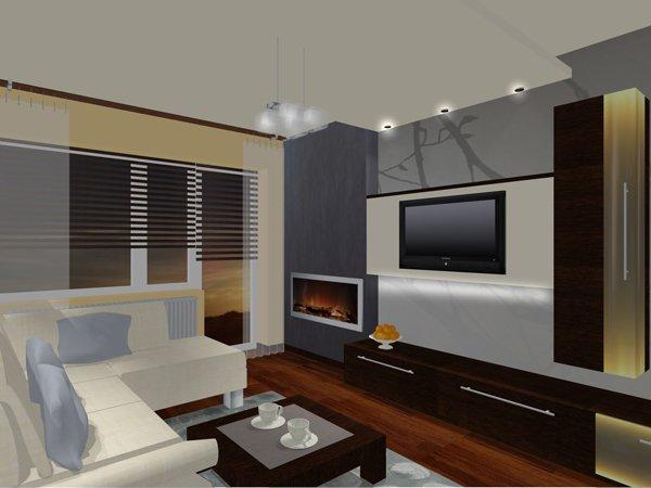 mieszkanie 41_salon, zdjęcie 2