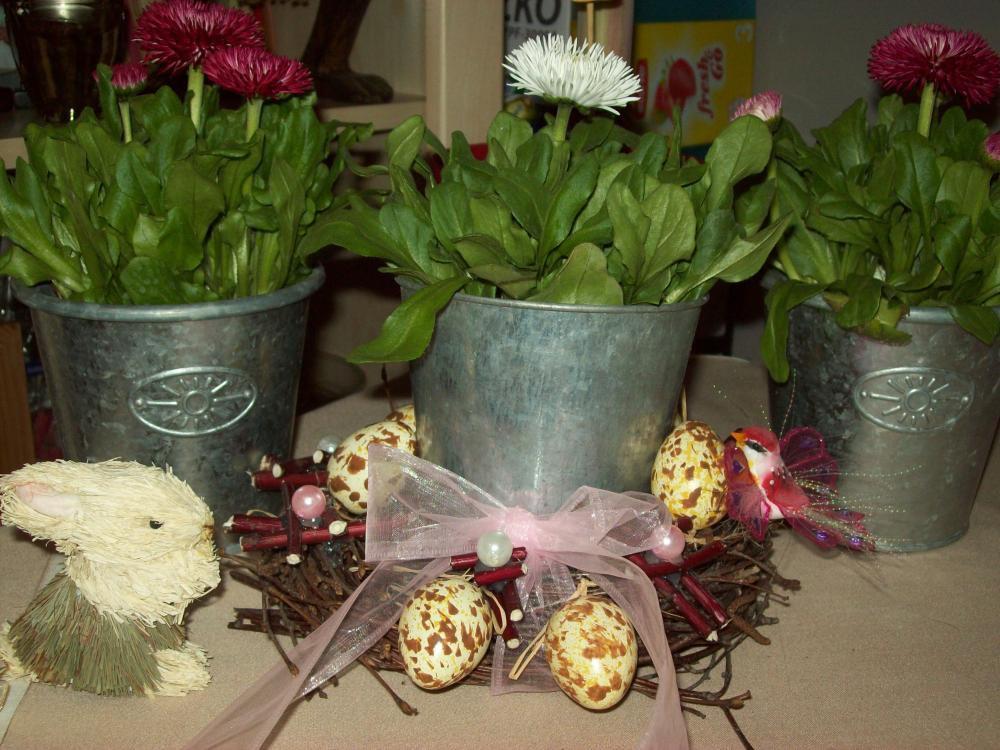 Wianuszki, zdjęcie 7