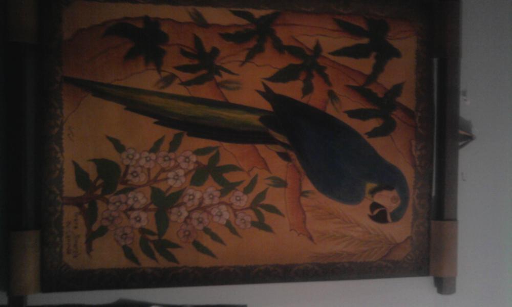 oto moja papuga i moje okno na świat., zdjęcie 2