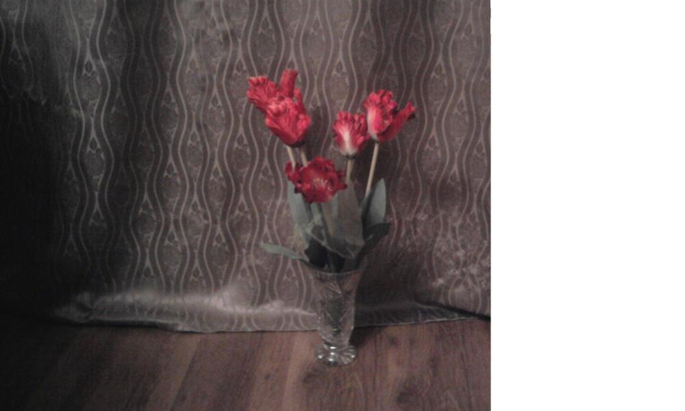 kilka kwiatków, zdjęcie 2