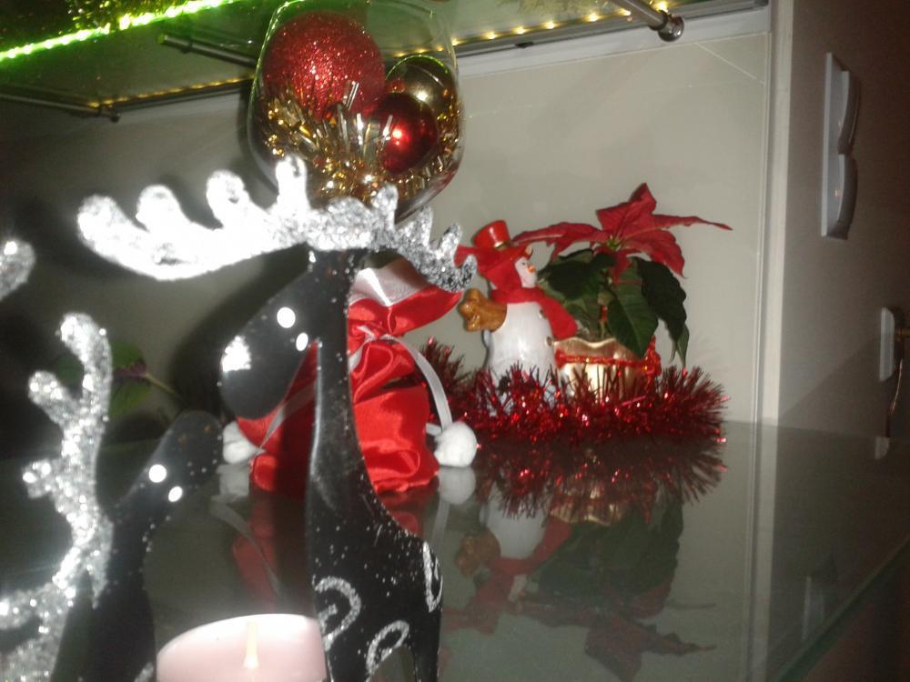 Nasze reniferki:), zdjęcie 2