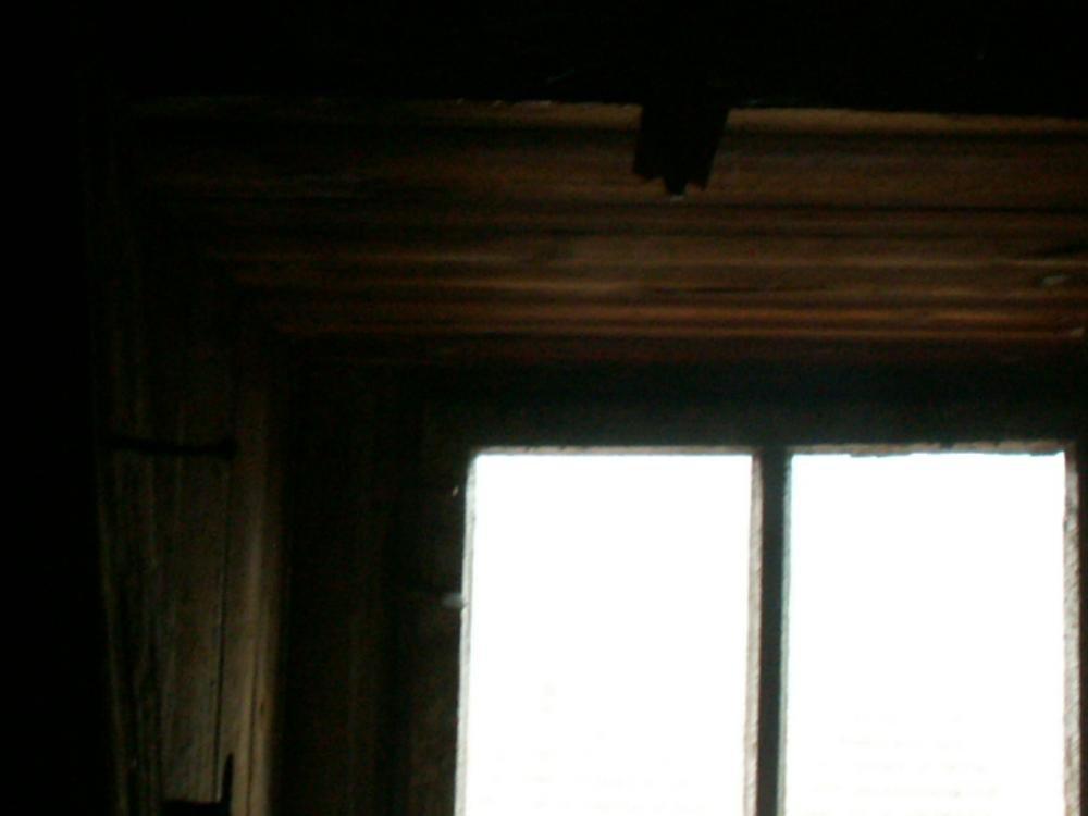 Stryszek zwany naszym pomieszczeniem gospodarczym, zdjęcie 2