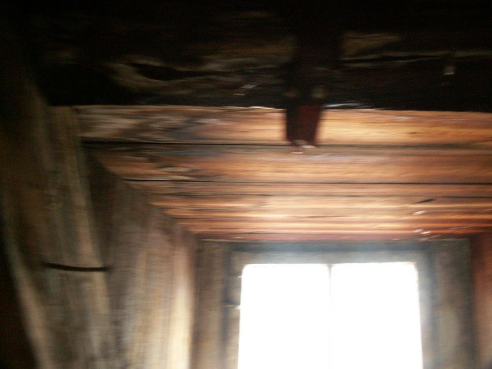 Stryszek zwany naszym pomieszczeniem gospodarczym, zdjęcie 5