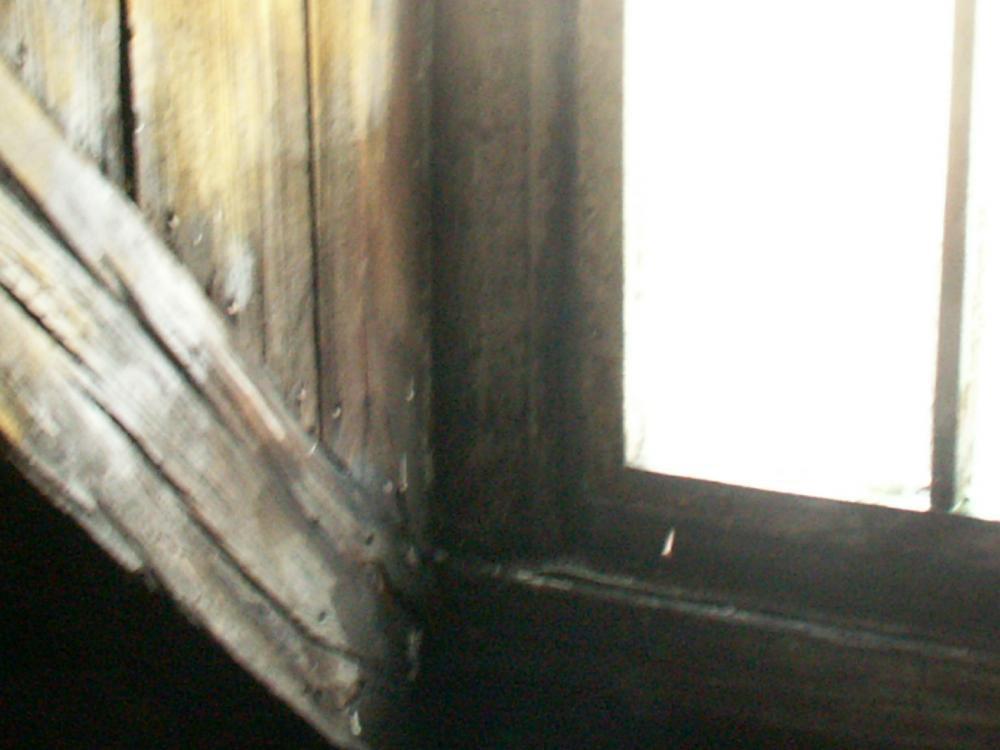 Stryszek zwany naszym pomieszczeniem gospodarczym, zdjęcie 6