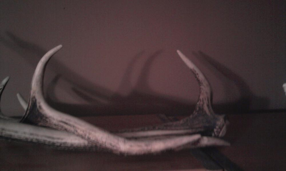 sowa i znaleziska mojego męża.., zdjęcie 2