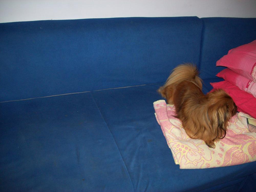 Mój mały pokoik, który zwę gabinetem, zdjęcie 6