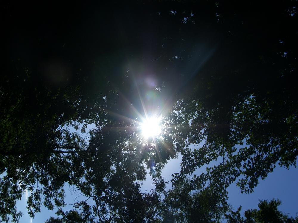 W ogrodzie babci..., zdjęcie 4