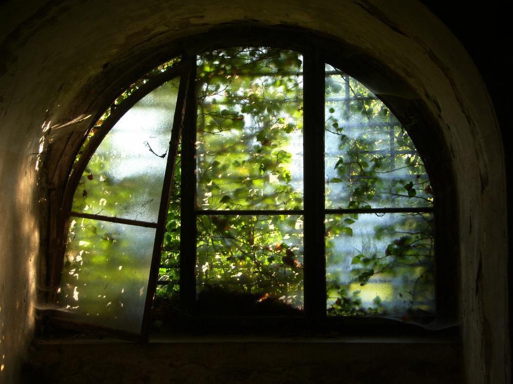 W ogrodzie babci..., zdjęcie 3