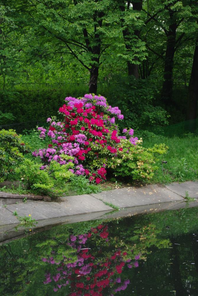 W ogrodzie u mamusi, zdjęcie 2