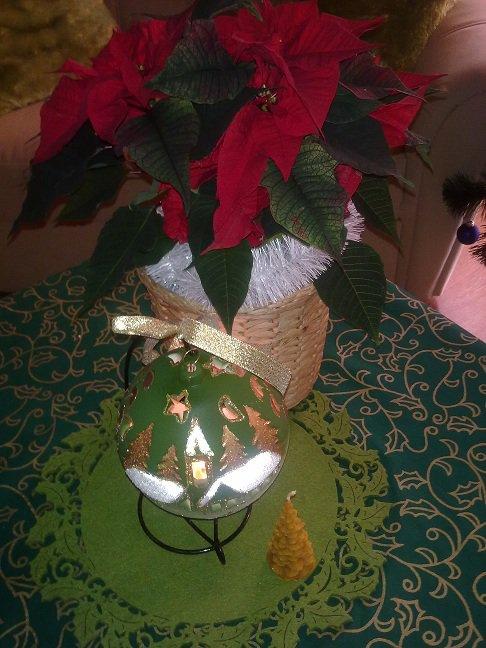 Galeria konkursowa, zdjęcie 4