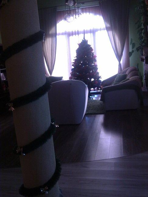 Galeria konkursowa, zdjęcie 3