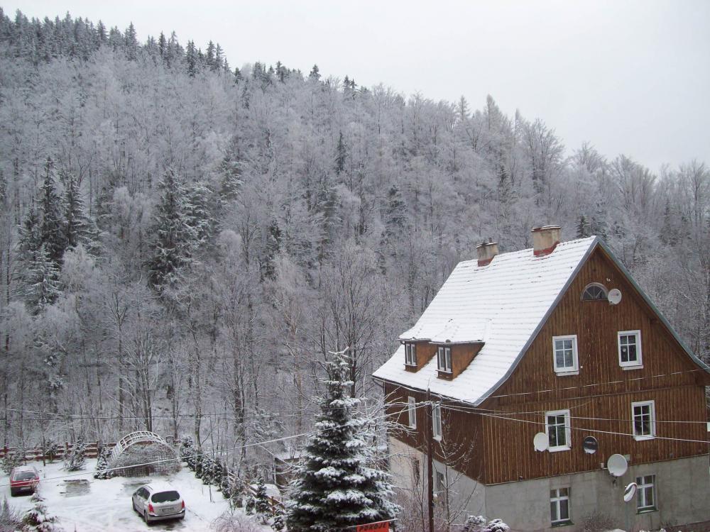 Świąteczna aura przed domem i nie tylko, zdjęcie 6