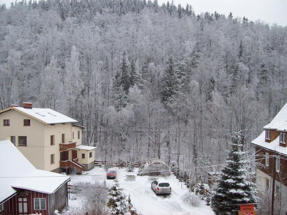 Świąteczna aura przed domem i nie tylko, zdjęcie 2