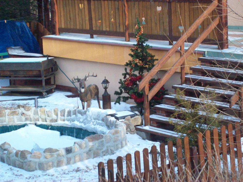 Świąteczna aura przed domem i nie tylko, zdjęcie 4