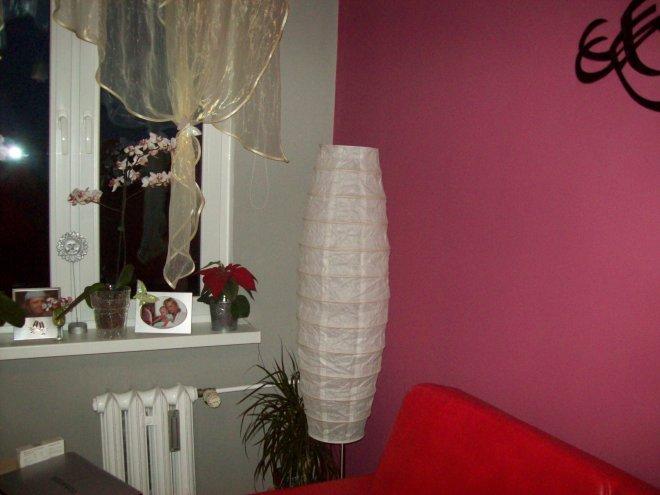 Pokoik w czerwieni, zdjęcie 2