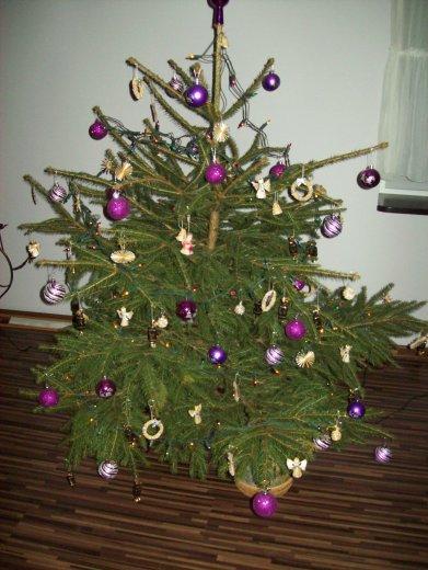 U mnie już też świączena aura, zdjęcie 7